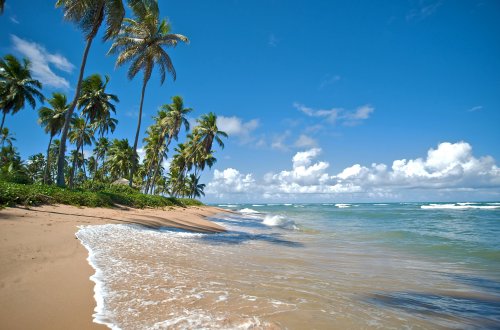 Velká cesta Brazílií