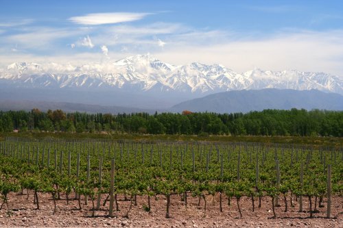 Z Ria až na pobřeží Pacifiku