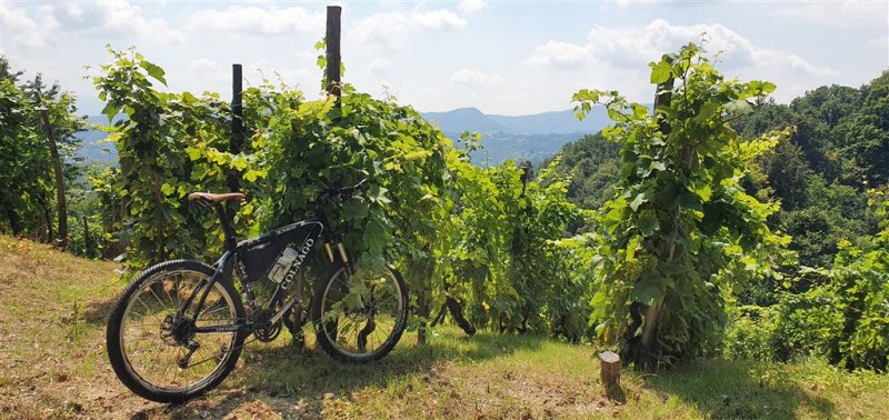 Slovinsko - Jadran a Kras