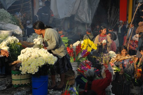 Mayský okruh (Mexiko, Guatemala, Honduras, Belize)