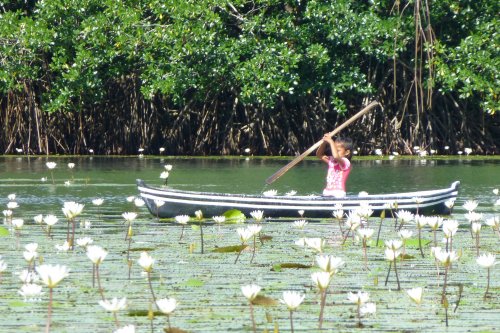 Mayský okruh (Mexiko, Guatemala, Honduras, Belize)