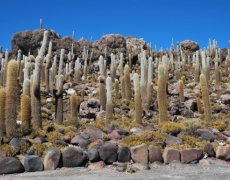 To nejlepší z Bolívie