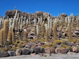 To nejlepší z Bolívie To nejlepší z Bolívie