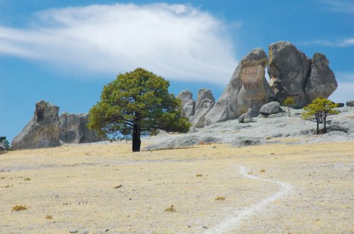 Copper Canyon a Baja California