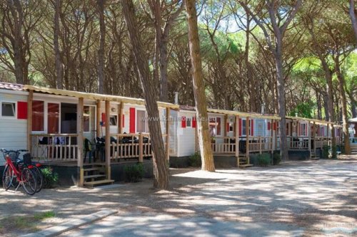 Camping Mare e Pineta
