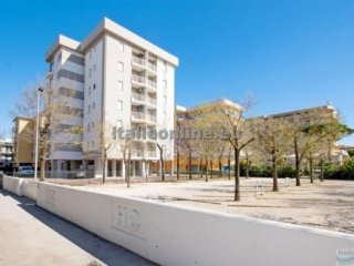 Condomino Lion Condomino Lion