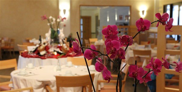 Hotel Suite Villa Maria