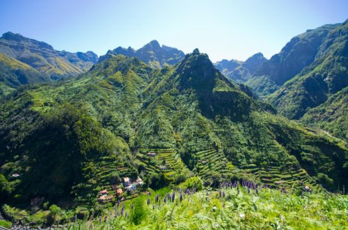 Chutě a vůně Madeiry