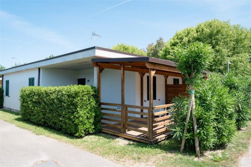 Kemp Stork Family Collection