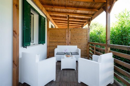 Kemp Stork Family Collection