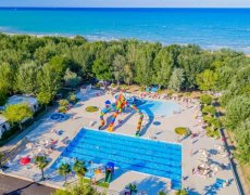 Kemp Stork Family Collection