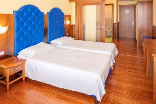 Hotel Internazionale Torri del Benaco