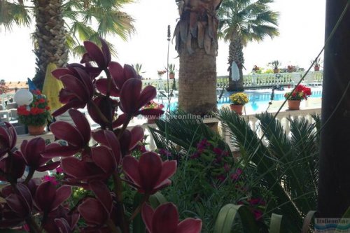 Camping Terrazzo sul Mare