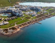 Anda Barut Collection