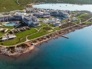 Anda Barut Collection