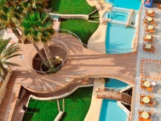 Kaktus Albir Kaktus Albir