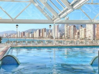 Benikaktus Benikaktus