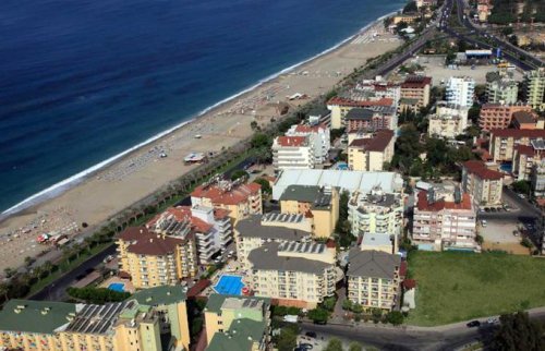 Kleopatra Royal Palm 2026