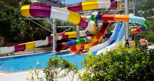 Kleopatra Royal Palm 2026