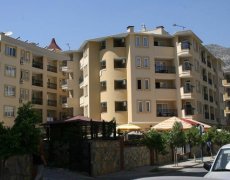 Kleopatra Royal Palm  2026