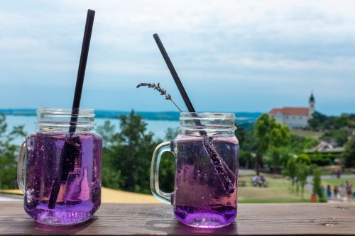 Hotel Familia přes květnový svátek autobusem