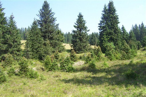 Krásy Šumavy, hory, jezera a slatě i Bavorský les