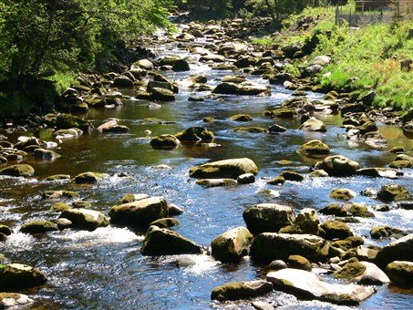 Krásy Šumavy, hory, jezera a slatě i Bavorský les