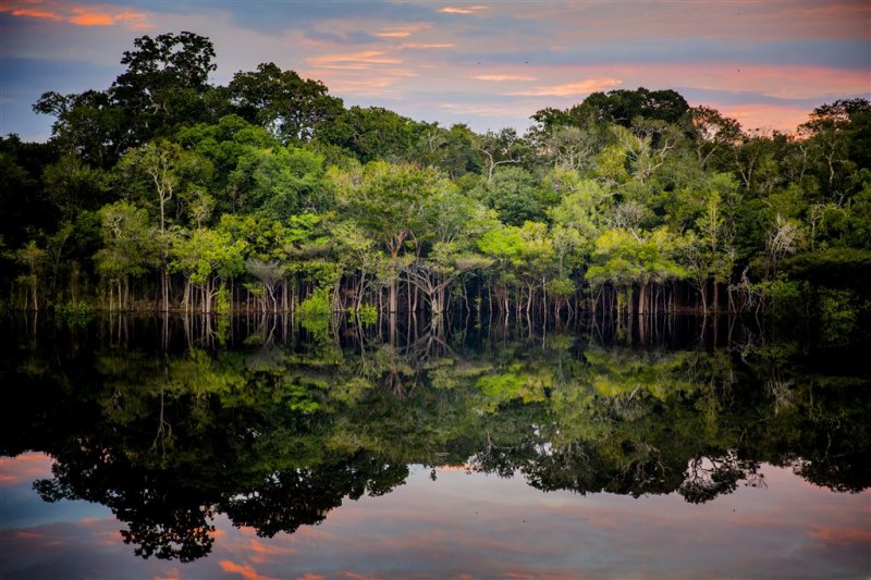 Brazilské dobrodružství - Rio de Janeiro, vodopády Iguazu, deštné pralesy, Amazonie a jaugáři v Pantanalu