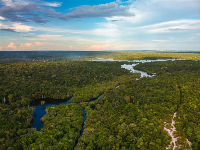 Brazilské dobrodružství - Rio de Janeiro, vodopády Iguazu, deštné pralesy, Amazonie a jaugáři v Pantanalu