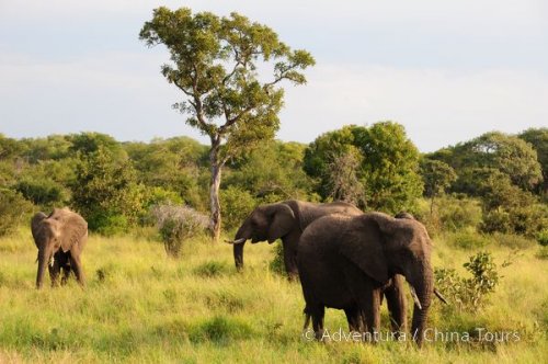 JAR a Namibie – putování po Orange River