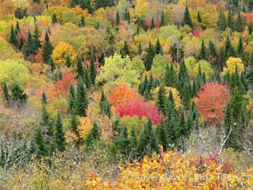 Divočinou po řece Allagash