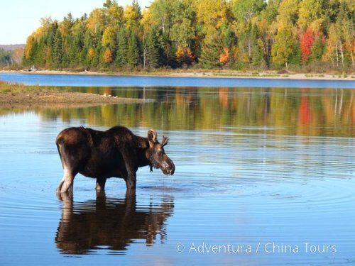 Divočinou po řece Allagash