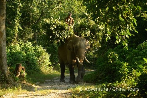 Rafting na nepálské řece Bheri