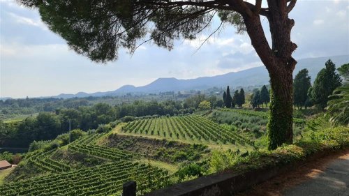 Sicílie - velký okruh nejen pro milovníky vína