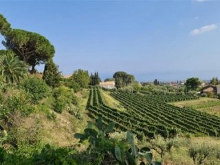 Sicílie - velký okruh nejen pro milovníky vína Sicílie - velký okruh nejen pro milovníky vína