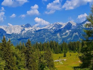 Rakousko - Np Kalkalpen Rakousko - Np Kalkalpen