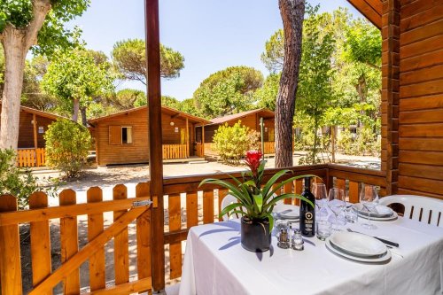 Kemp Viareggio Family Collection