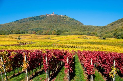 Alsasko, Švýcarsko a Bodamské jezero s výjezdem na Pilatus