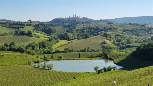 Vína dóžat a renesance pod toskánským sluncem