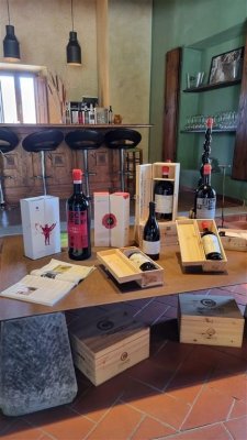 Vína dóžat a renesance pod toskánským sluncem