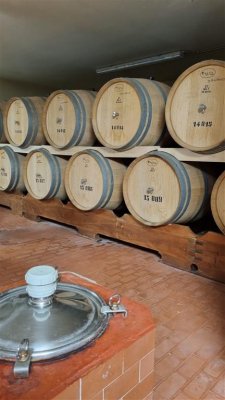 Vína dóžat a renesance pod toskánským sluncem