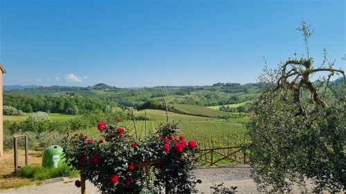 Vína dóžat a renesance pod toskánským sluncem