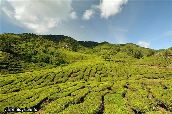 Poznávání Malajsie s koupáním na Langkawi