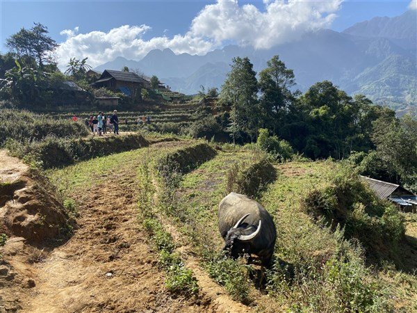 Vietnamem od Mekongu až do Sapy