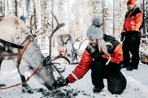 LYŽOVÁNÍ VE FINSKU ZA POLÁRNÍM KRUHEM - jarní prázdniny a Velikonoce
