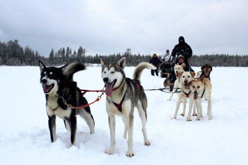 LYŽOVÁNÍ VE FINSKU ZA POLÁRNÍM KRUHEM - jarní prázdniny a Velikonoce