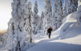 LYŽOVÁNÍ VE FINSKU ZA POLÁRNÍM KRUHEM - jarní prázdniny