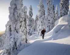 LYŽOVÁNÍ VE FINSKU ZA POLÁRNÍM KRUHEM - jarní prázdniny a Velikonoce