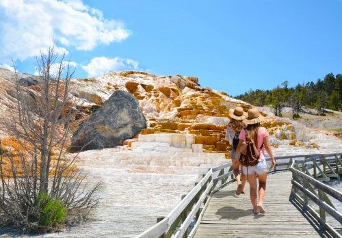 Yellowstone a přírodní krásy severozápadu USA
