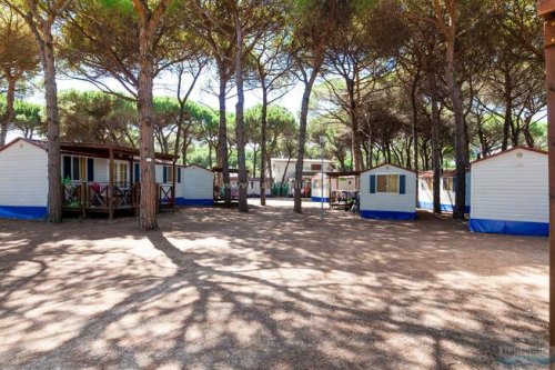 Camping Village Pineta sul Mare